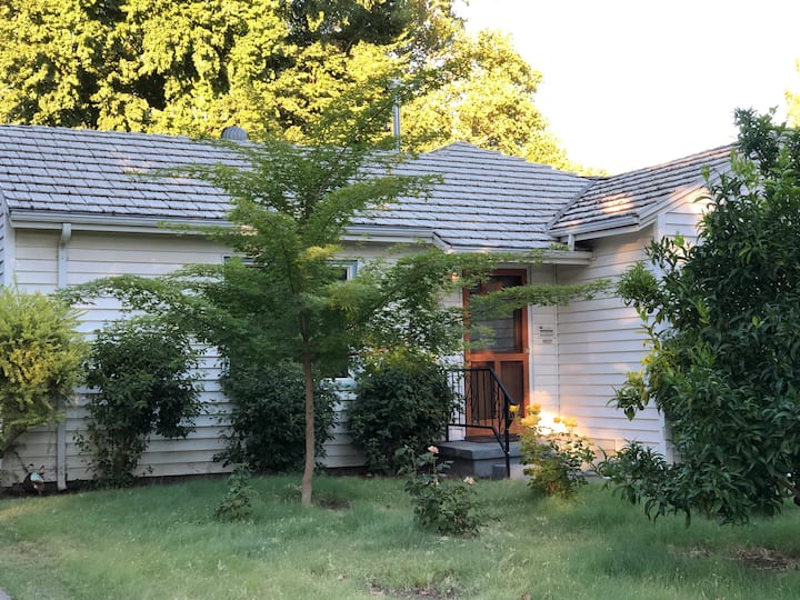 Davis Vacation Rentals Airbnb