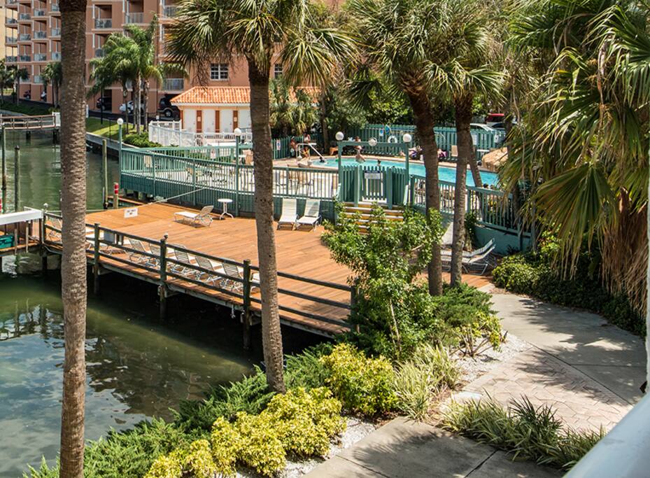 Pool and patio area