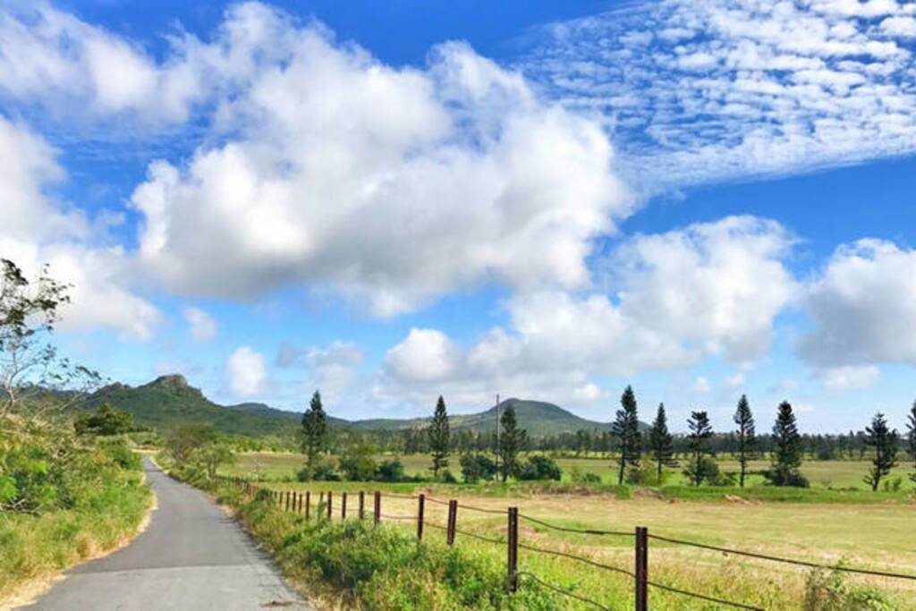 鄰近的牧場 (走路僅需5分鐘內