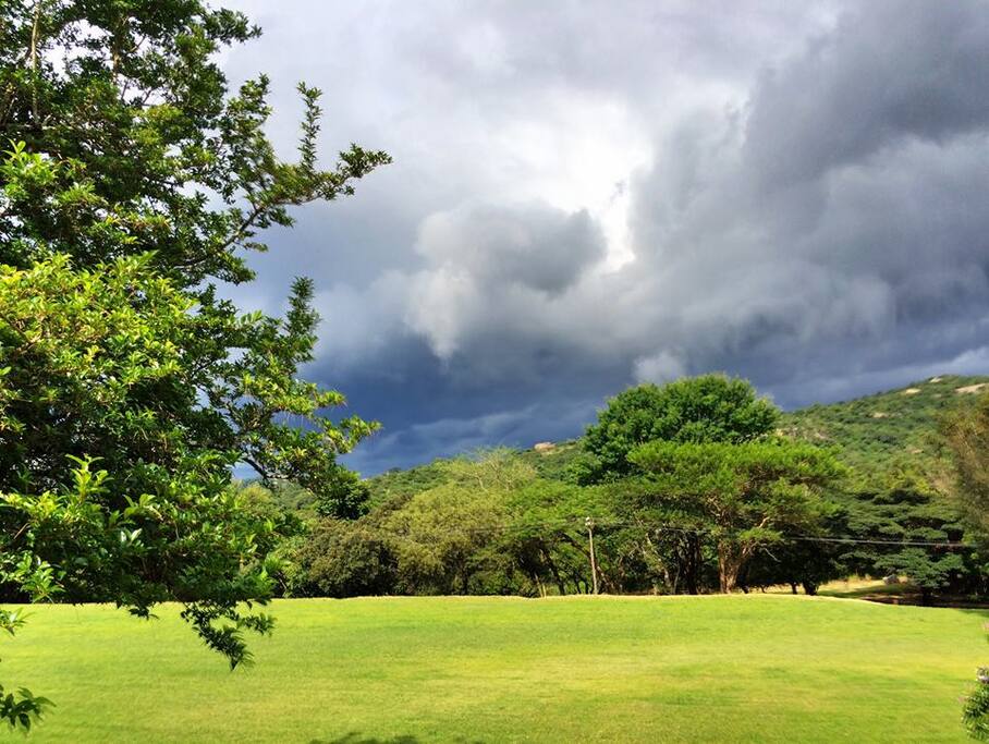 Soccer field