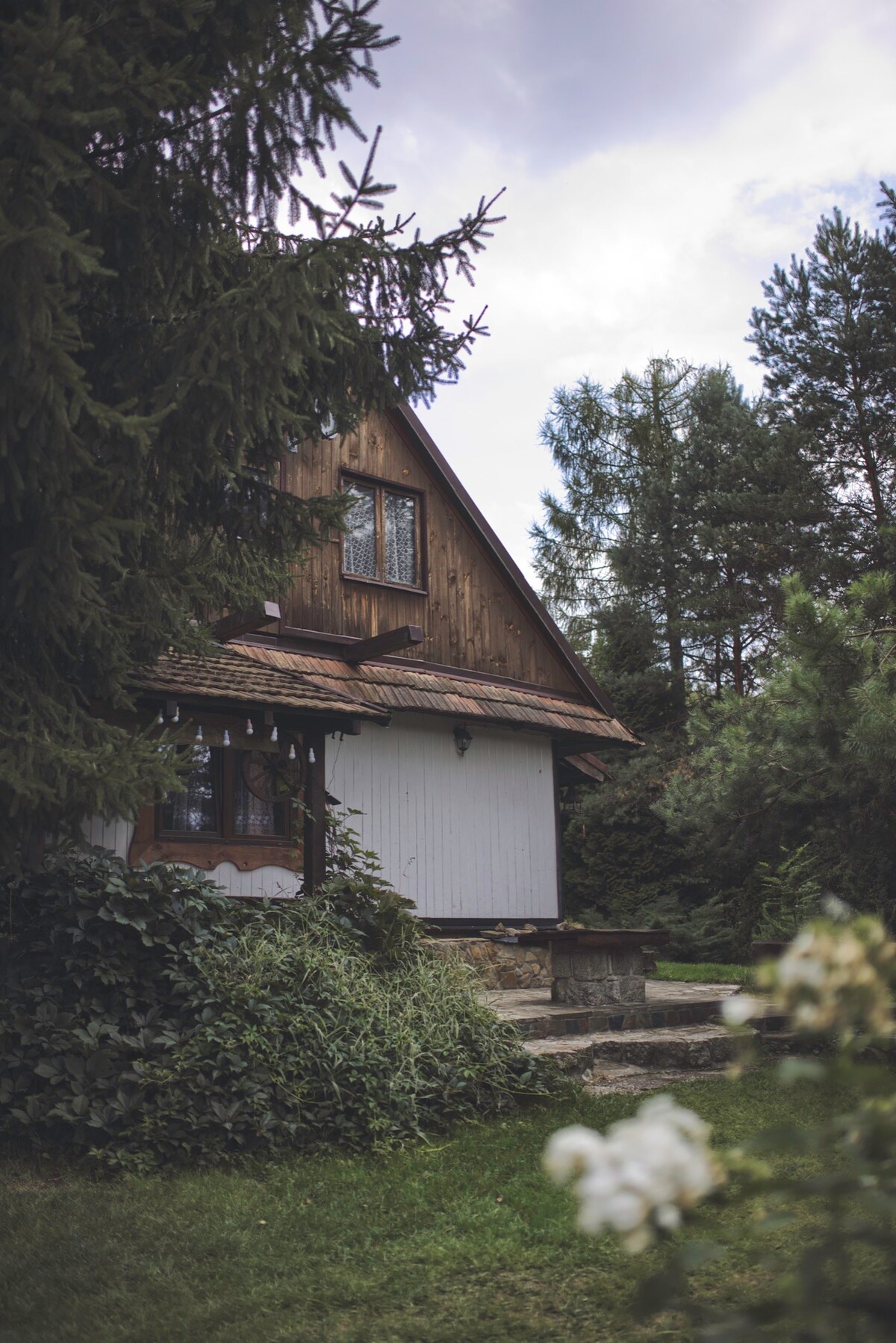 The exterior of a wooden house is surrounded by lush greenery and tall trees. A stone pathway leads to the entrance. White siding contrasts with the dark wood accents, and large windows provide a connection to the natural surroundings.