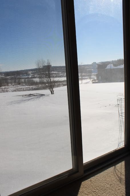 View of the patio and backyard