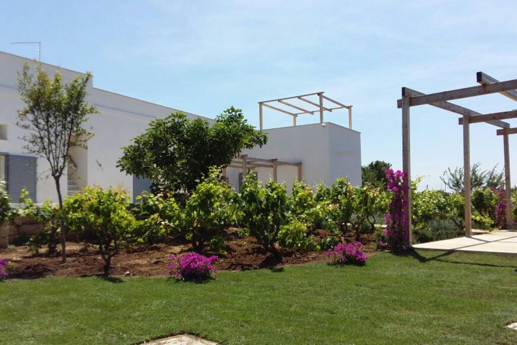 Il Casale e il giardino