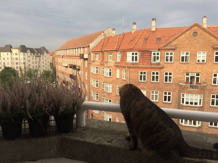 Balcony and Gaia