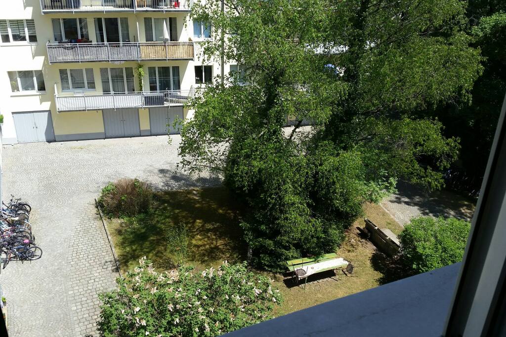 backyard (view from bedroom)
