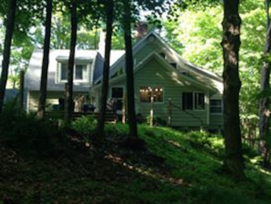 Back of the house - fenced yard & deck