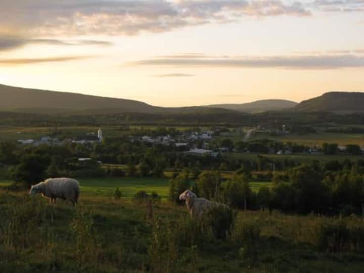 SaintJacquesleMajeurdeWolfestown locations moyenne et longue
