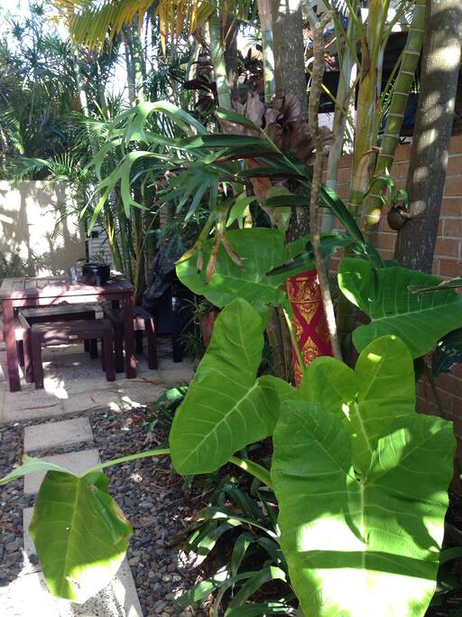 The garden