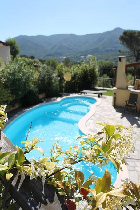 Private pool with Jacuzzi