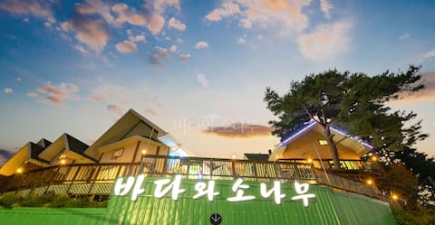 Sea and pine ~ Rose Zeramat (38 pyeong duplex) Large family room for 7 or more people