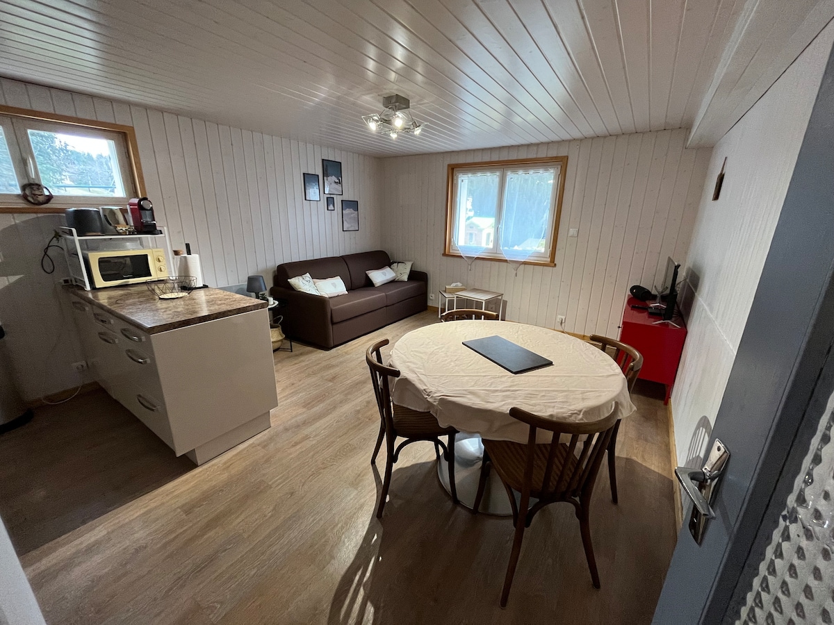 Successful Airbnb property: Gîte des Fougères T2, ground floor, house, Centre des Rousses in Les Rousses
