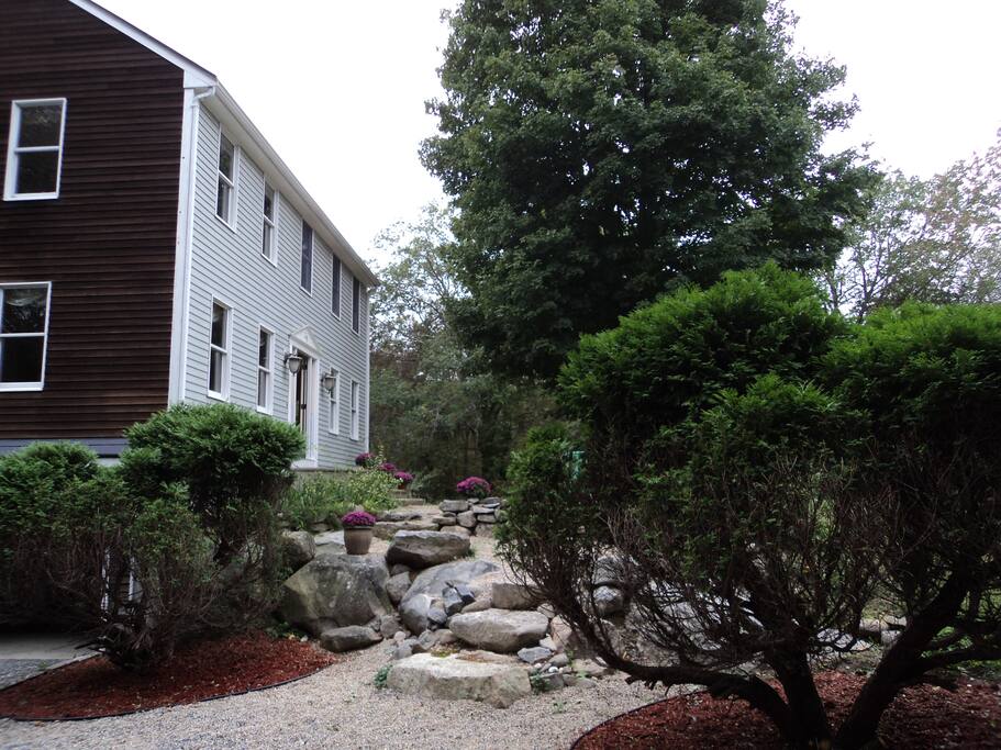 Front steps landscape