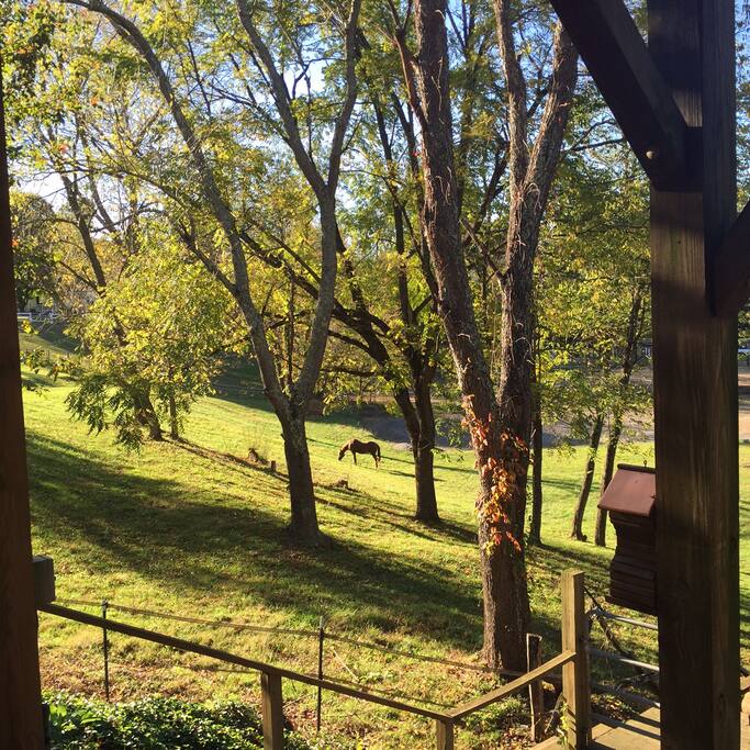 Pasture view from covered deck