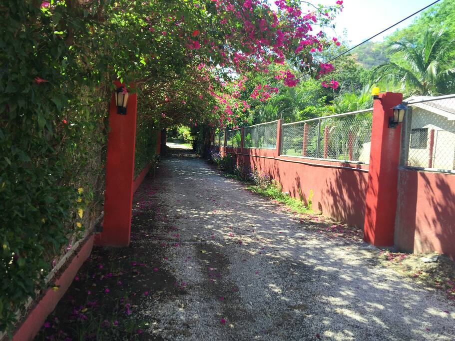 Entrada al recinto