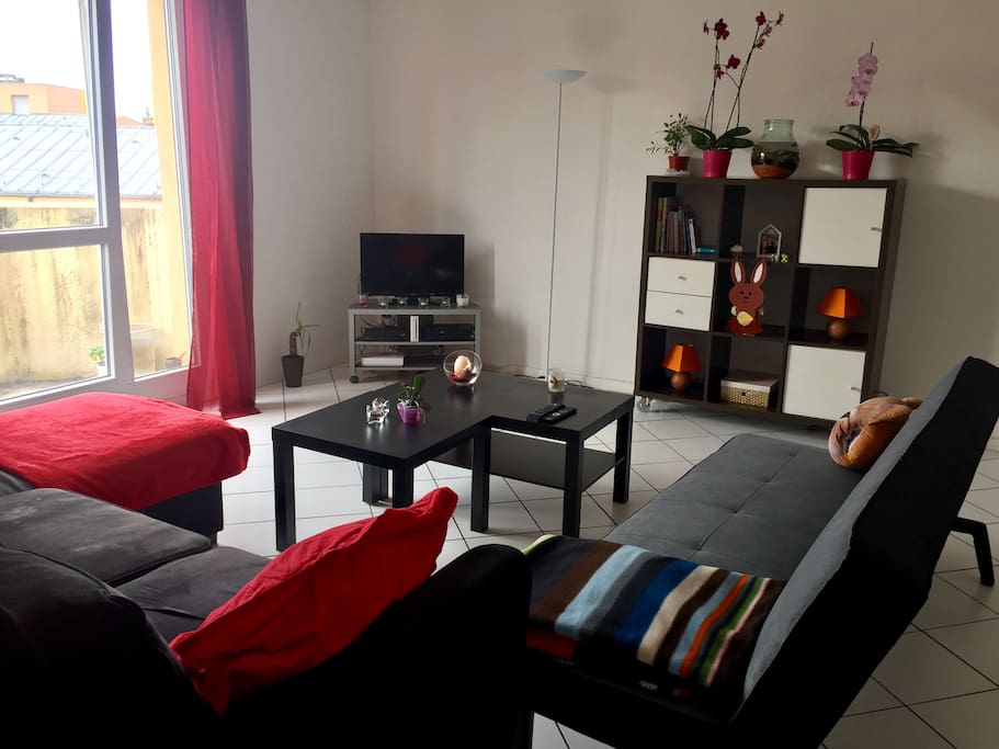 Salon avec TV, Wifi, PlayStation 2 et Wii.