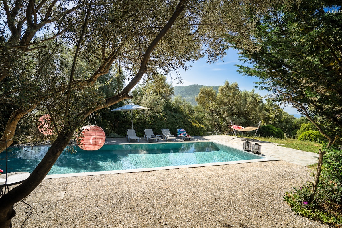 A tranquil pool area is surrounded by olive trees and lush greenery. Comfortable lounge chairs are positioned beside the pool, complemented by a sun umbrella. A hammock is visible in the shade, inviting relaxation, while a stone pathway leads to the serene landscape beyond.