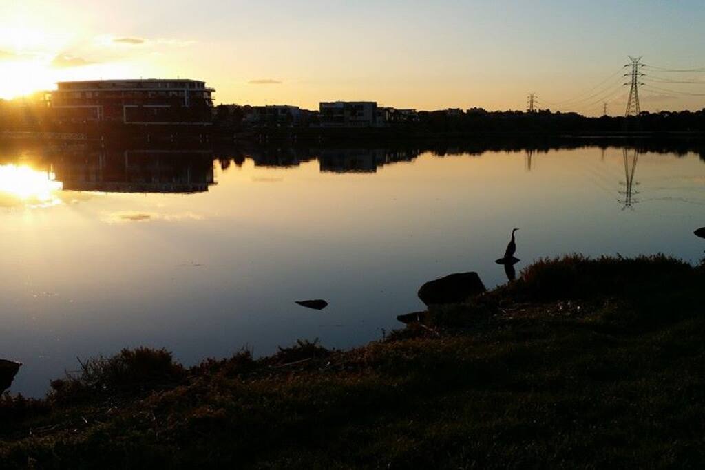 Lovely afternoon Sunsets at the lake