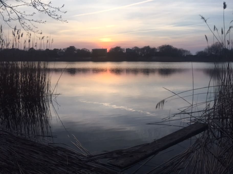 Beautiful sunset over the pond outside your door
