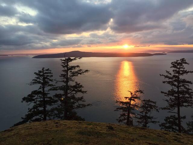Whale Pod Chalet at Oaks Bluff Whale watching gallery image 5