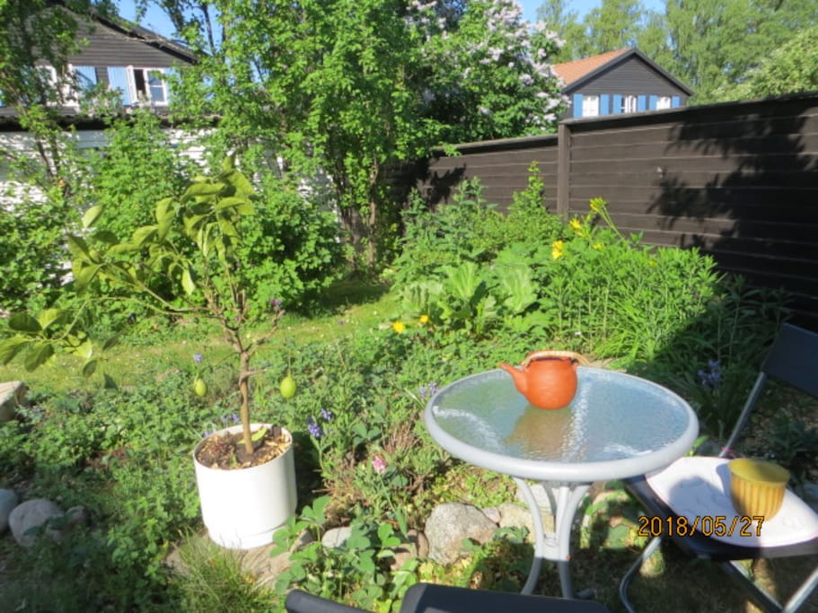 Garden, May.