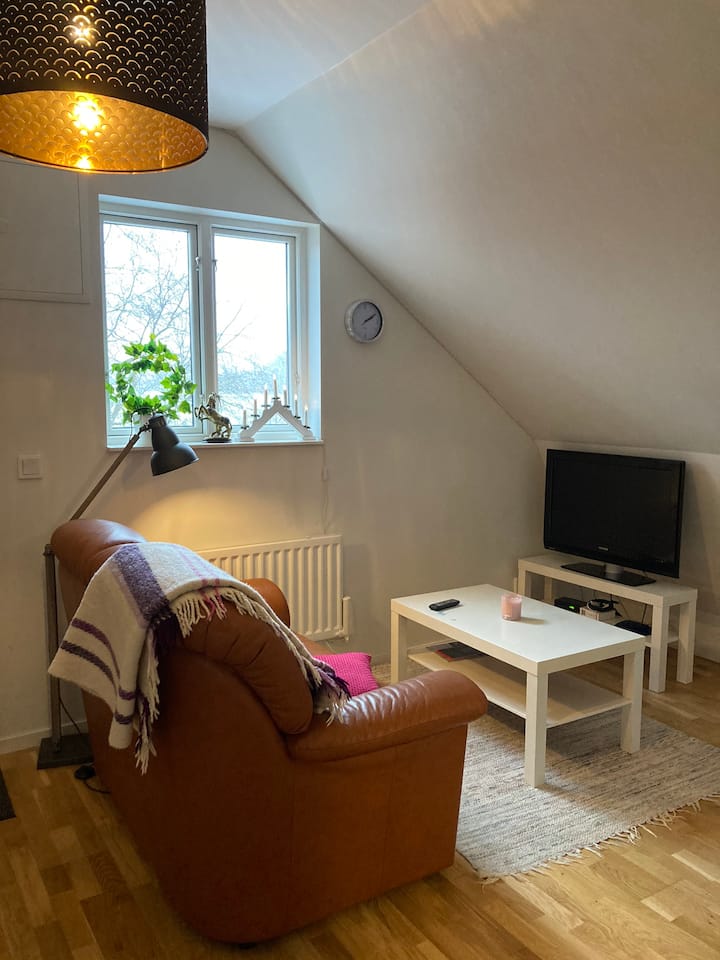 Björkdala- Lägenhet På Hästgård Med Lantligt Läge - Hörby