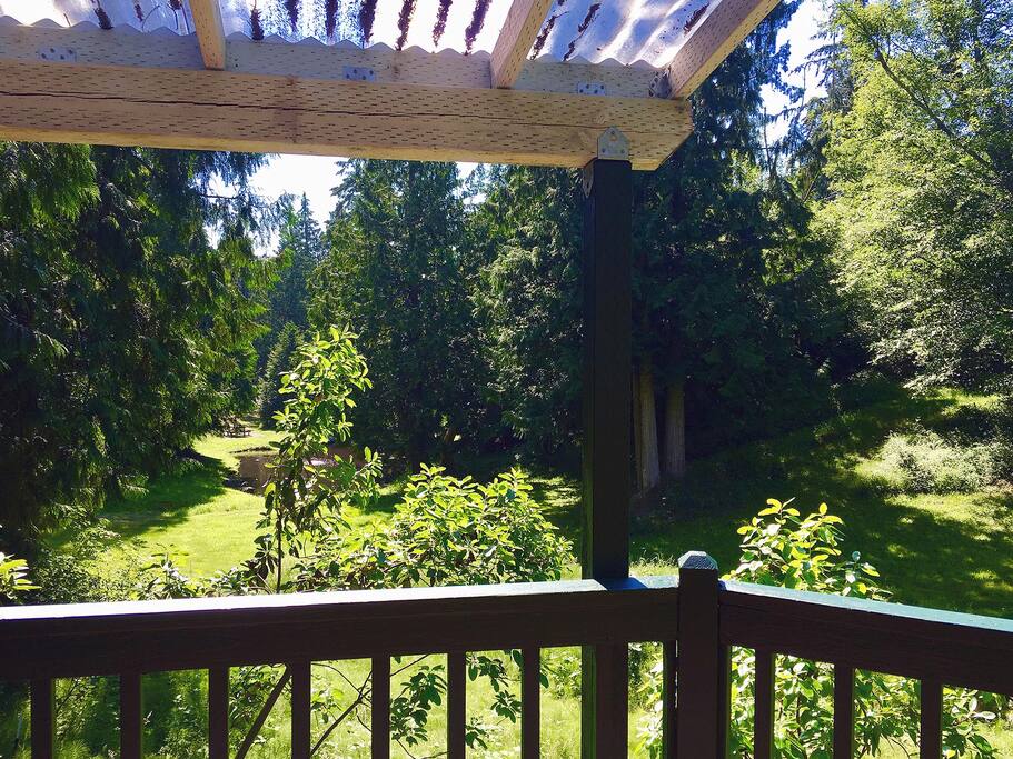 Pond View from the Deck