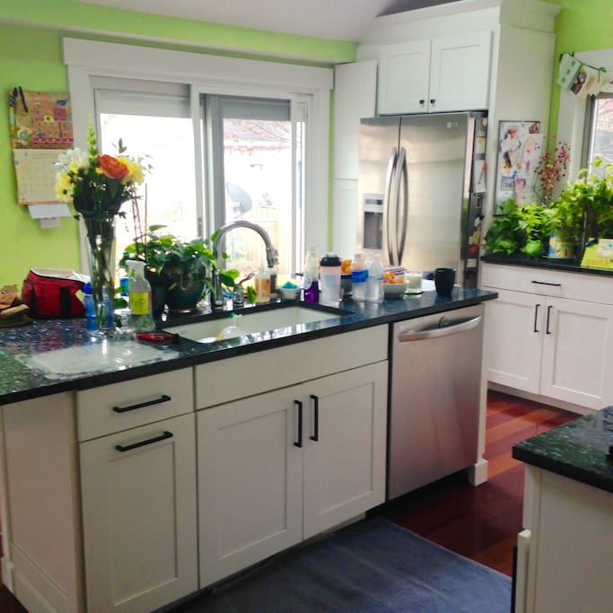 Open, Bright Kitchen