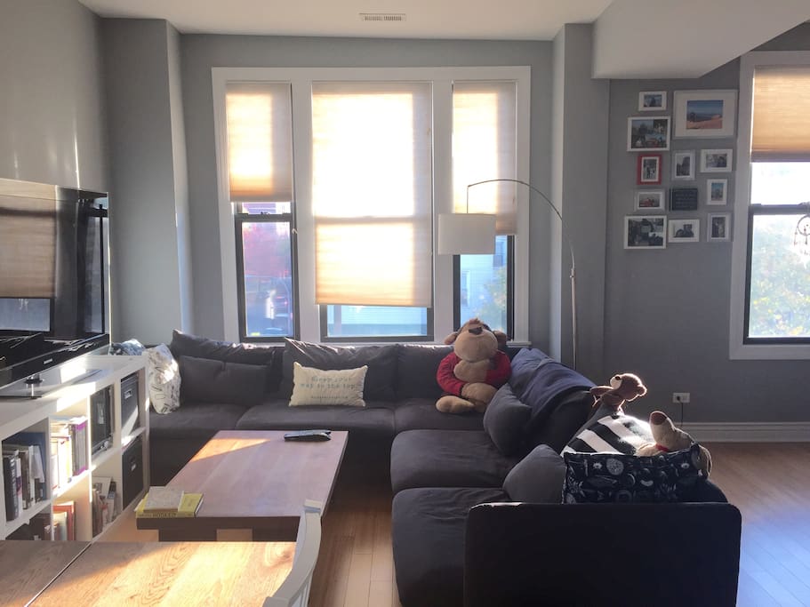 Shared living room