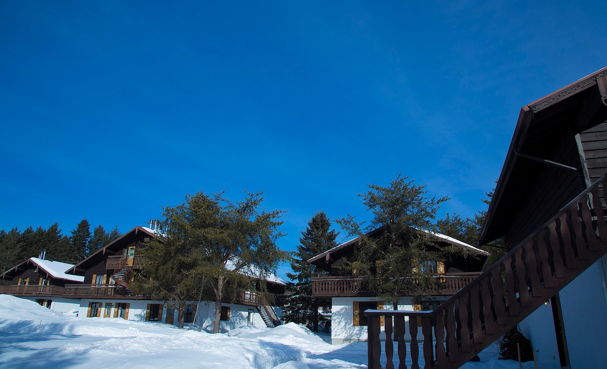 A serene winter scene showcases Swiss-style condominiums surrounded by snow-covered grounds. The clear blue sky contrasts with the dark wood and white facades of the buildings. Evergreen trees frame the setting, enhancing the tranquil atmosphere.