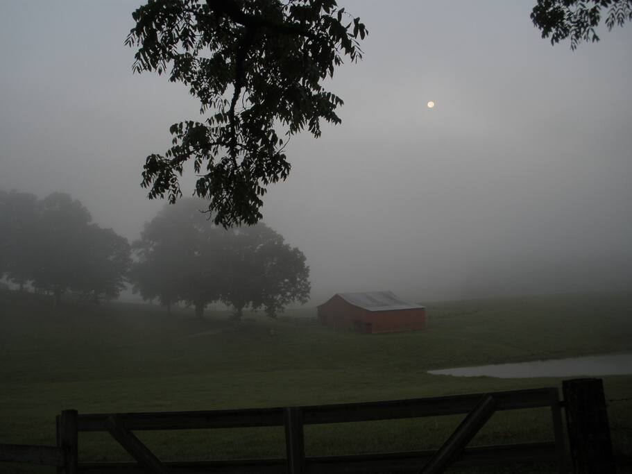 Foggy Morning Sunrise