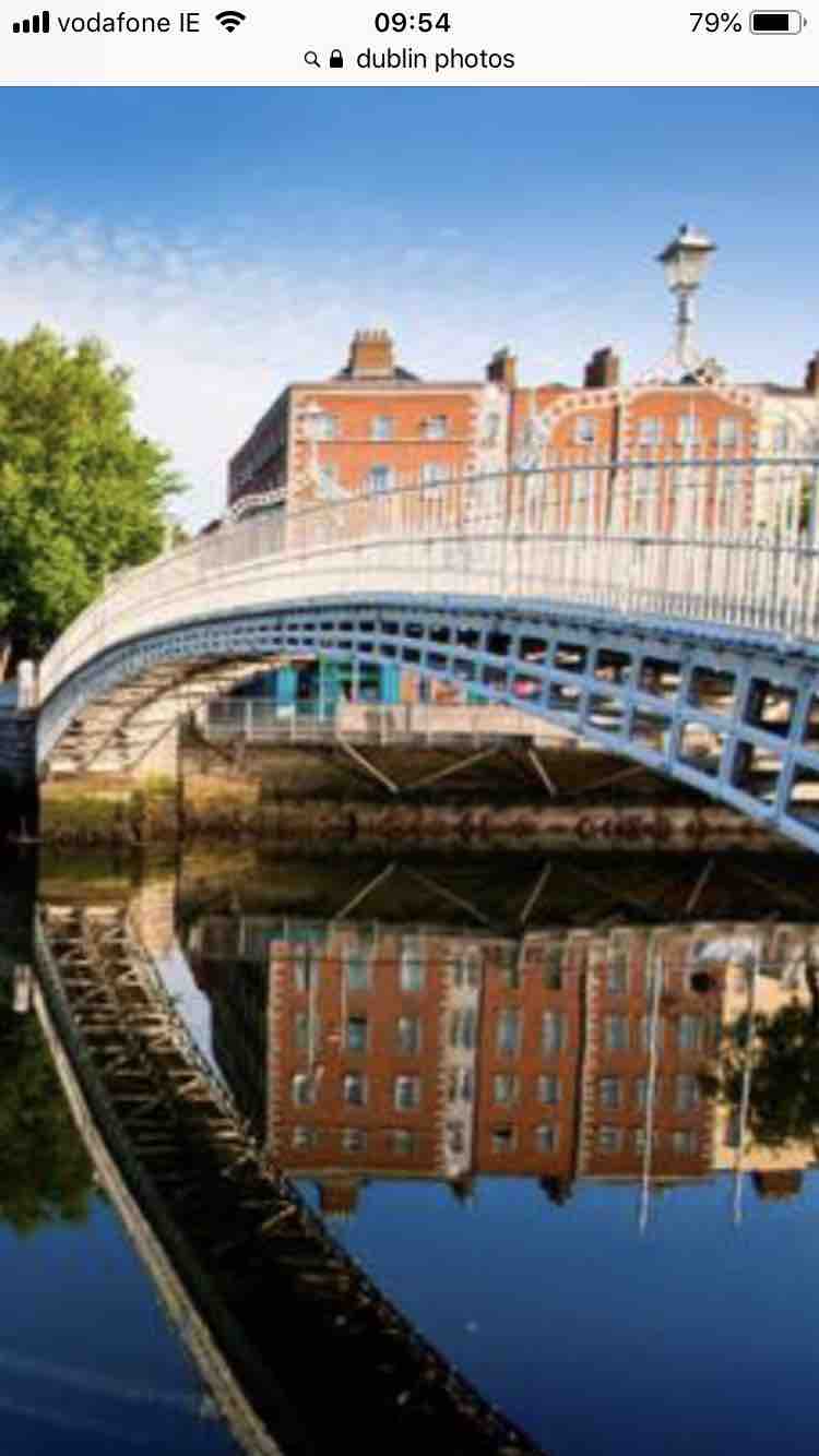 A charming footbridge is viewed over calm waters, reflecting the vibrant brick buildings along the riverbank. Lush trees provide greenery, while street lamps add to the picturesque scenery. The historical architecture of Dublin is highlighted in this tranquil setting.
