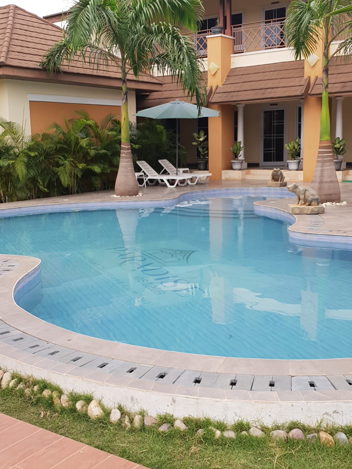 A serene swimming pool is surrounded by tropical palm trees and lounge chairs, inviting relaxation. The pool's clear blue water reflects the sunlight, while the patio area displays well-maintained greenery and decorative elements.