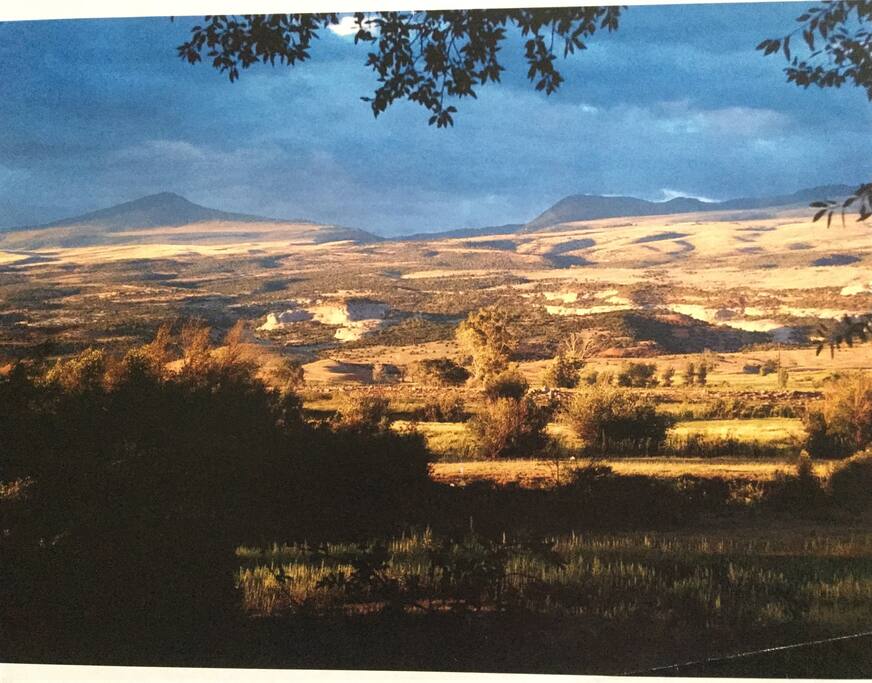 View from the Living Room