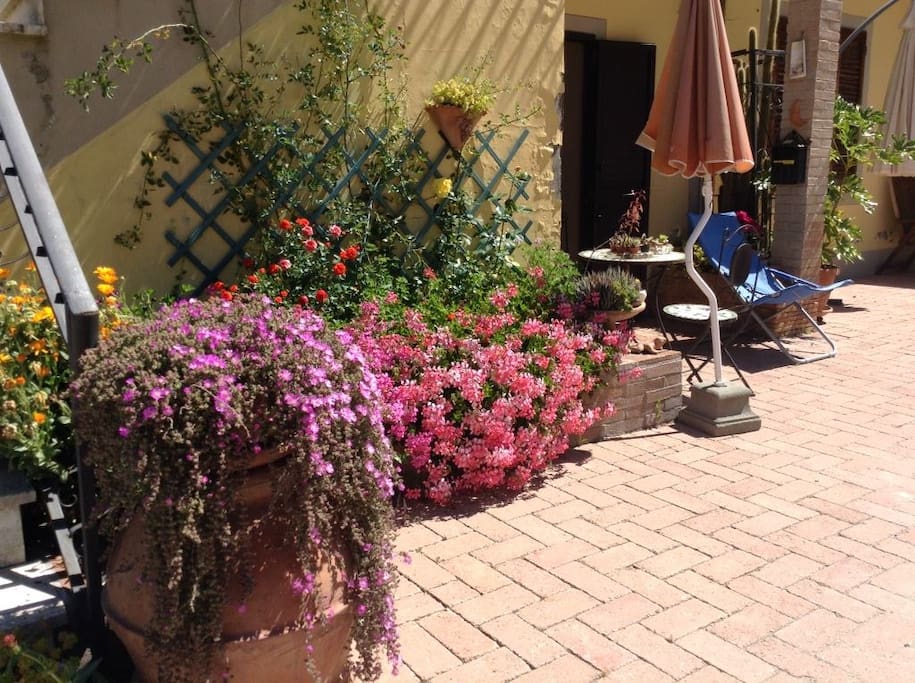 Giardino