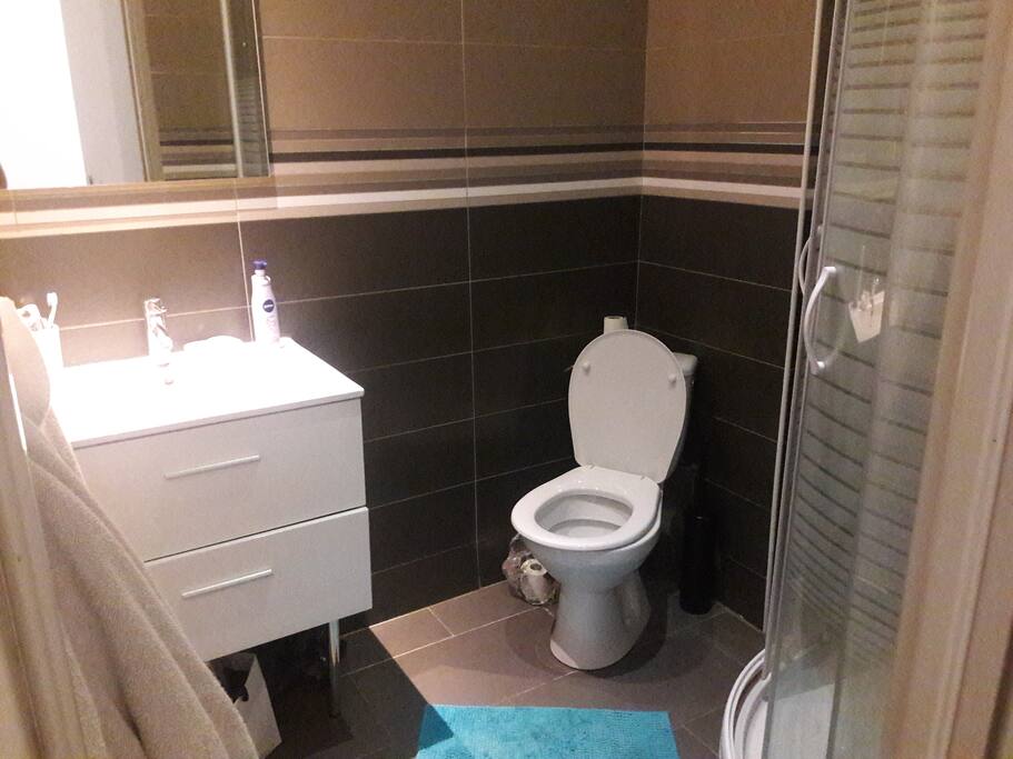salle de bain avec douche