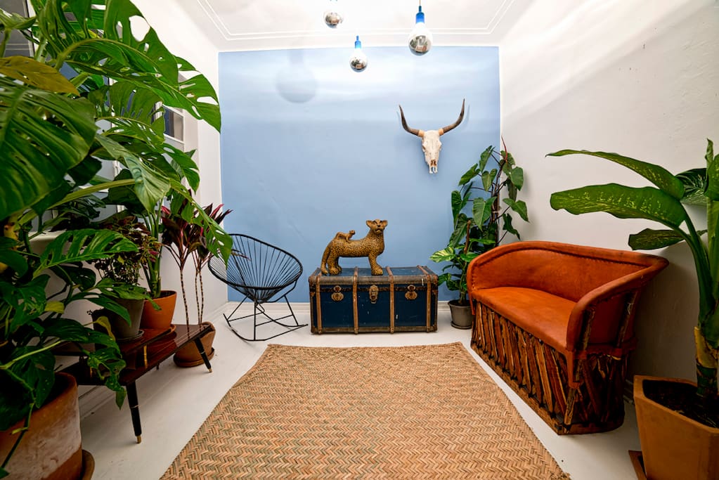 Living room area full of greenery.