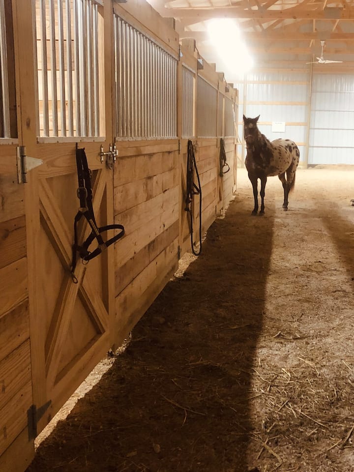 Brazil Vacation Rentals & Homes Indiana, United States Airbnb