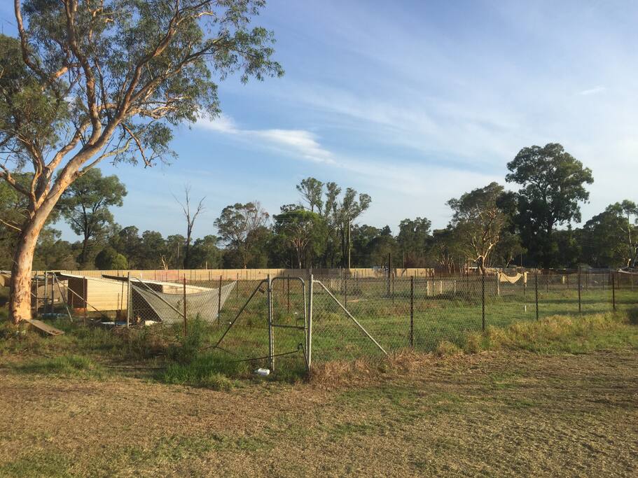 These are the rescue dogs who live on the property. They have been taken from abusive or neglectful homes and are in the process of being re-homed. Please do not feed or pay them (no matter how cute they are). The dog cage closest to the granny flat is also available for hire if you bring a pet with you. It is 600m2 in size.