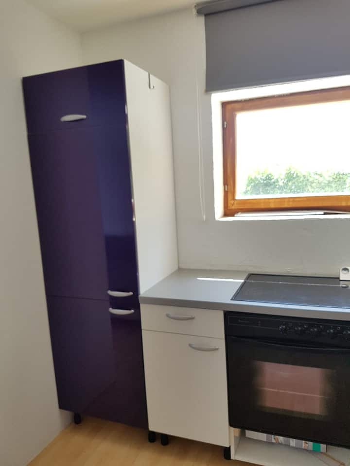 Ulm Vacation Rentals & Homes BadenWürttemberg, Germany Airbnb