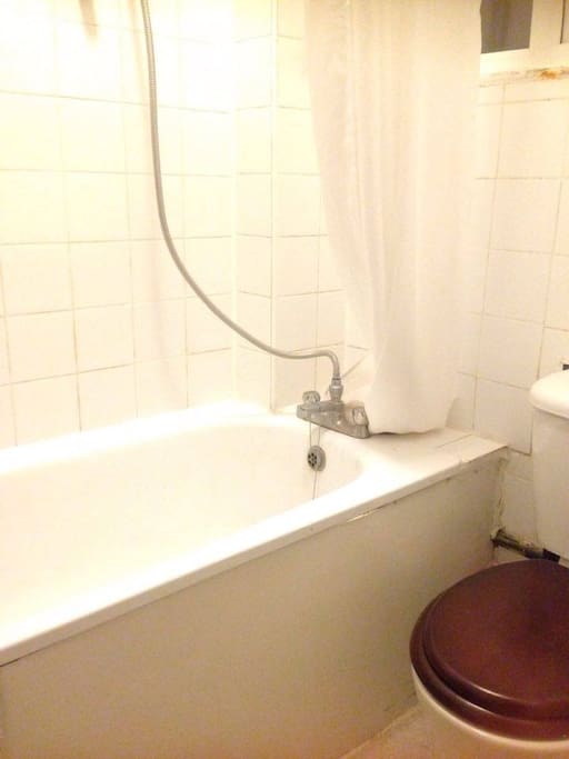 Bathroom/Shower Room