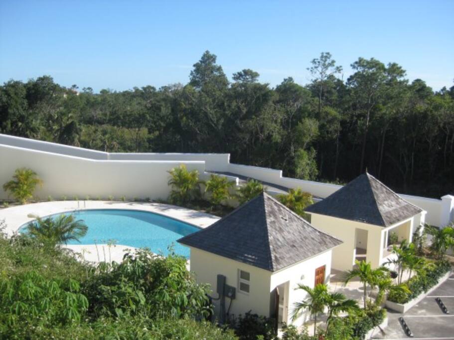 Pool with Pool House