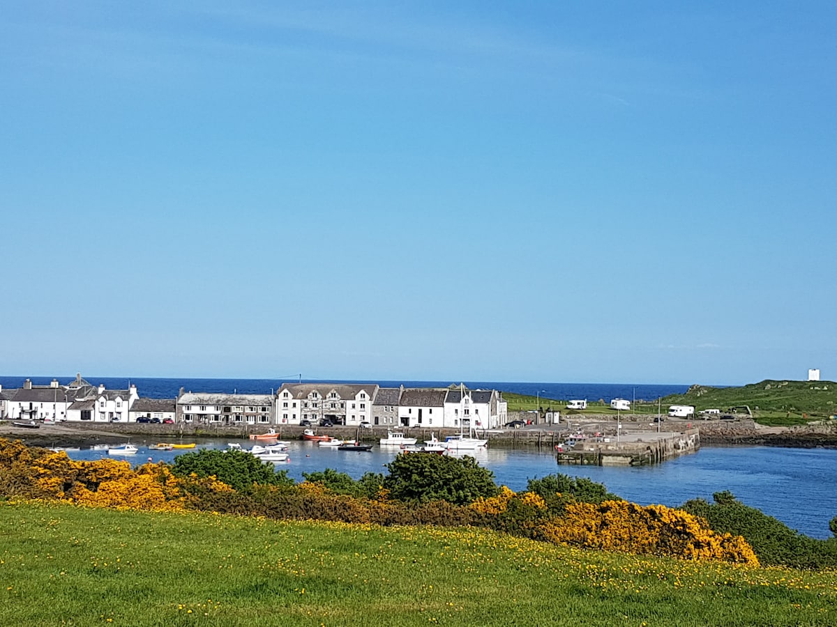 A view of the coastline showcases the charming village of Isle of Whithorn, with white buildings lining the harbor. Boats are moored in the calm water, while yellow flowering gorse adds a vibrant contrast in the foreground. The clear blue sky enhances the serene atmosphere.