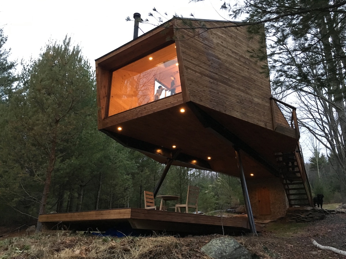 ultramodern treehouse in New York 