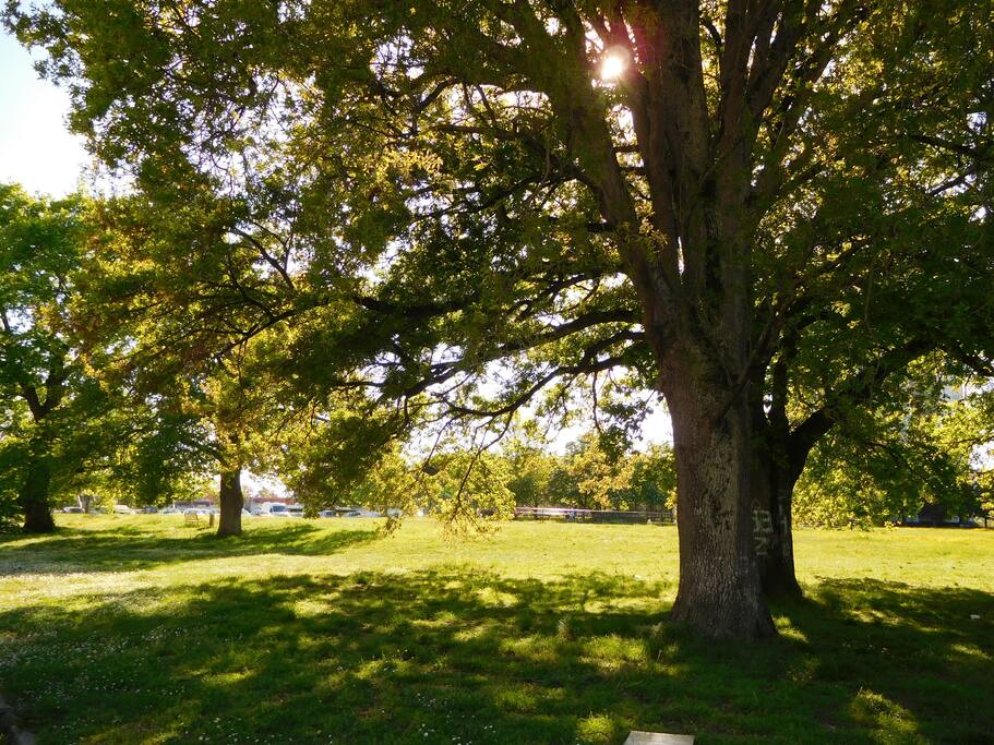 Parc en bas de la résidence