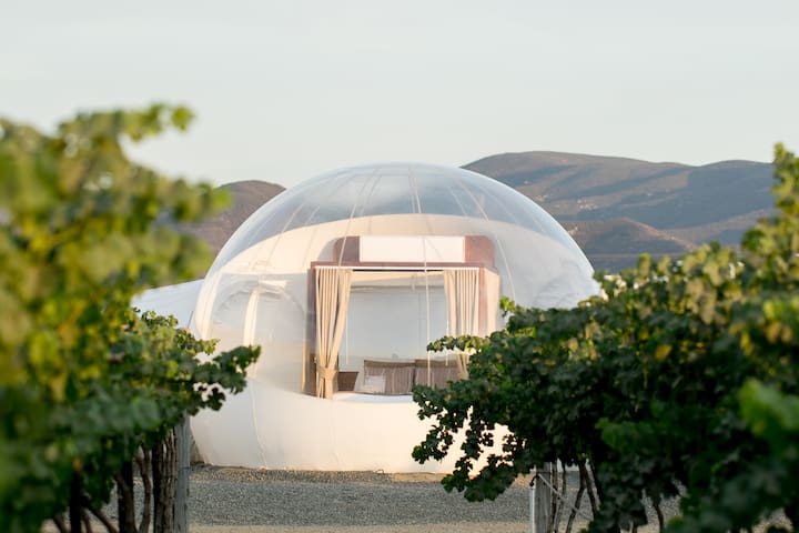 Campera Hotel - Bubble Suite 4