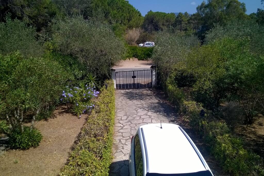 Giardino