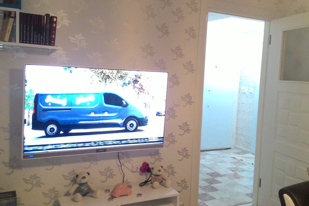 Televizyon