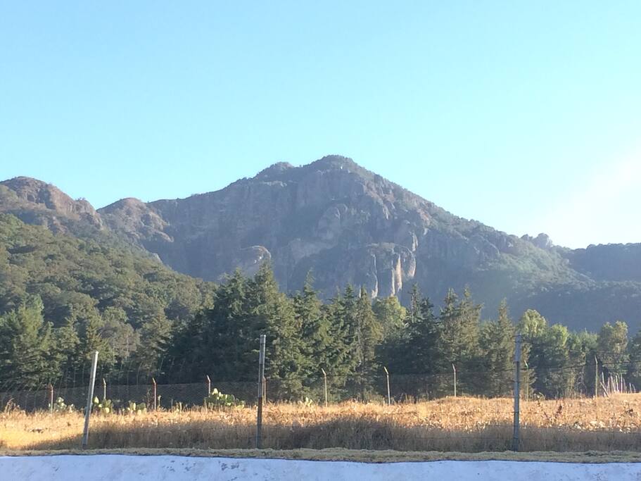 La vista desde el jardin
