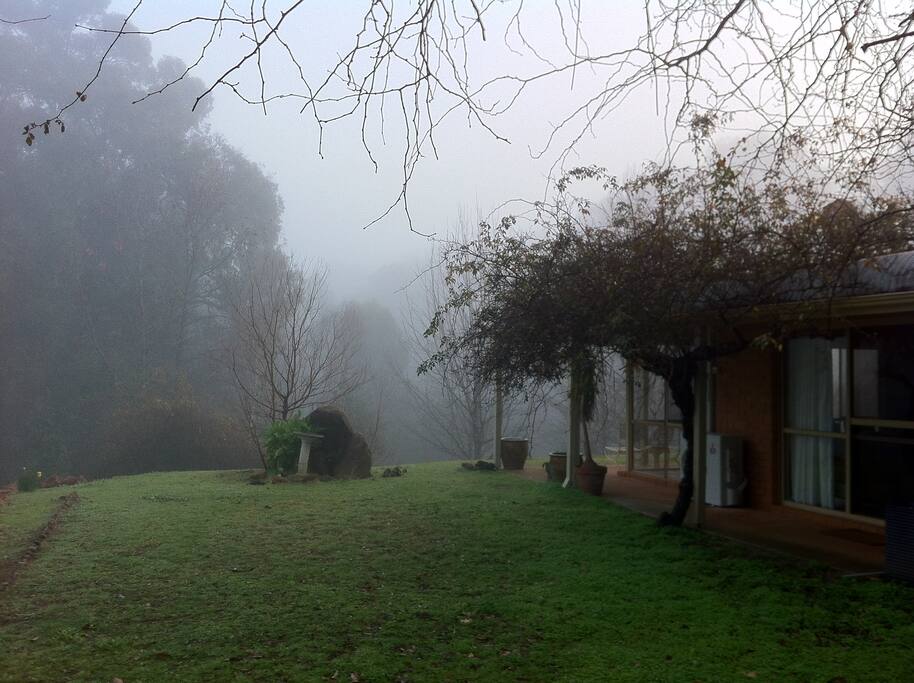 Front garden in winter