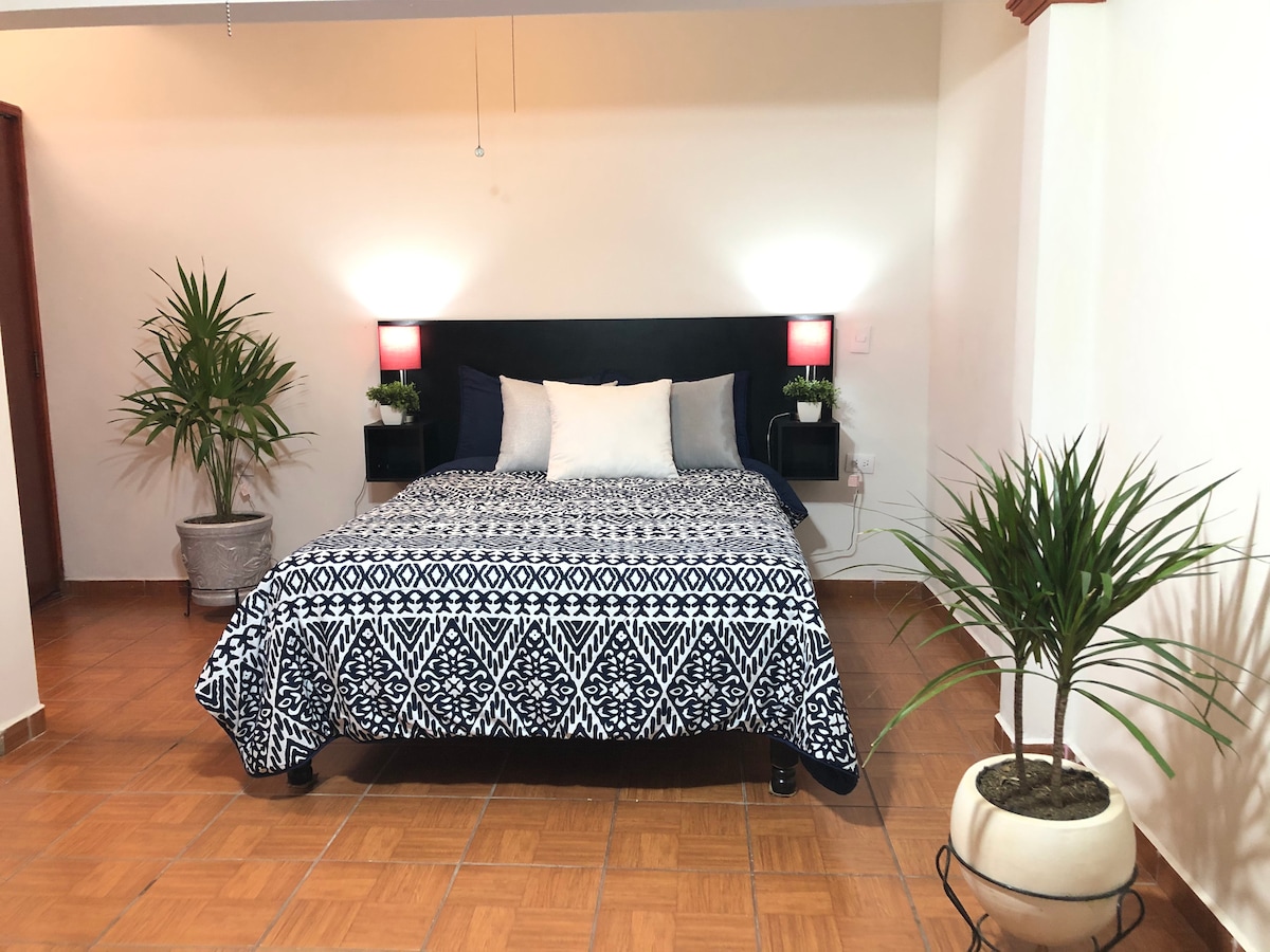 A spacious sleeping area contains a bed with a patterned black and white bedspread, flanked by bedside tables with lamps. Decorative plants are positioned at either side of the bed, highlighting the serene atmosphere of the room.